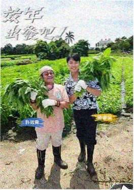 影视飓风官网深度影评配图小成本科幻专题